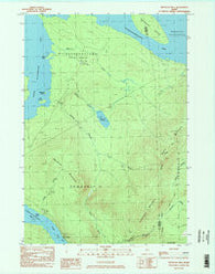 Metallak Mtn Maine Historical topographic map, 1:24000 scale, 7.5 X 7.5 Minute, Year 1984