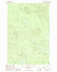 Middle Brook Mtn Maine Historical topographic map, 1:24000 scale, 7.5 X 7.5 Minute, Year 1985