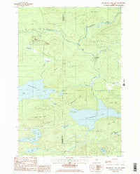 Millinocket Lake East Maine Historical topographic map, 1:24000 scale, 7.5 X 7.5 Minute, Year 1985