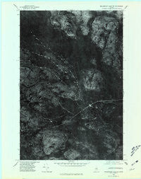 Millinocket Lake NE Maine Historical topographic map, 1:24000 scale, 7.5 X 7.5 Minute, Year 1975