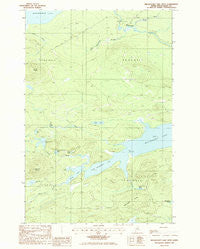 Millinocket Lake West Maine Historical topographic map, 1:24000 scale, 7.5 X 7.5 Minute, Year 1985