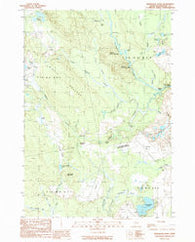 Montegail Pond Maine Historical topographic map, 1:24000 scale, 7.5 X 7.5 Minute, Year 1990