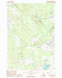 Montegail Pond Maine Historical topographic map, 1:24000 scale, 7.5 X 7.5 Minute, Year 1990