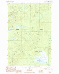 Mooseleuk Lake Maine Historical topographic map, 1:24000 scale, 7.5 X 7.5 Minute, Year 1985