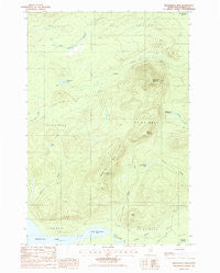 Mooseleuk Mtn Maine Historical topographic map, 1:24000 scale, 7.5 X 7.5 Minute, Year 1985