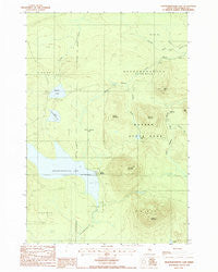 Nesowadnehunk Lake Maine Historical topographic map, 1:24000 scale, 7.5 X 7.5 Minute, Year 1988