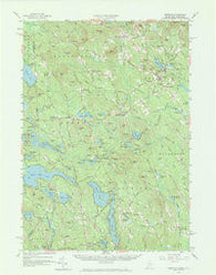 Newfield Maine Historical topographic map, 1:62500 scale, 15 X 15 Minute, Year 1958