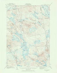 Nicatous Lake Maine Historical topographic map, 1:62500 scale, 15 X 15 Minute, Year 1932