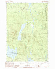 Nollesemic Lake Maine Historical topographic map, 1:24000 scale, 7.5 X 7.5 Minute, Year 1988