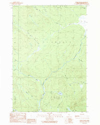 Norris Brook Maine Historical topographic map, 1:24000 scale, 7.5 X 7.5 Minute, Year 1989