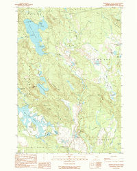 Northeast Bluff Maine Historical topographic map, 1:24000 scale, 7.5 X 7.5 Minute, Year 1990