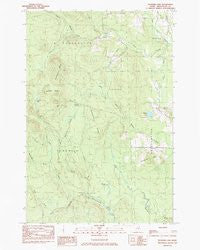 Packard Lake Maine Historical topographic map, 1:24000 scale, 7.5 X 7.5 Minute, Year 1984