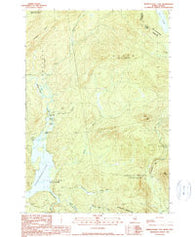 Parmachenee Lake Maine Historical topographic map, 1:24000 scale, 7.5 X 7.5 Minute, Year 1990