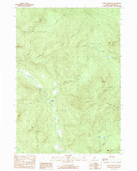 Puzzle Mountain Maine Historical topographic map, 1:24000 scale, 7.5 X 7.5 Minute, Year 1984