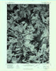 Puzzle Mountain Maine Historical topographic map, 1:24000 scale, 7.5 X 7.5 Minute, Year 1977