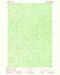 Ragmuff Stream Maine Historical topographic map, 1:24000 scale, 7.5 X 7.5 Minute, Year 1989