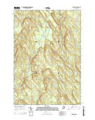 Reed Pond Maine Current topographic map, 1:24000 scale, 7.5 X 7.5 Minute, Year 2014