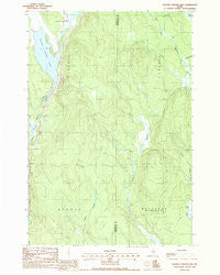 Salmon Stream Lake Maine Historical topographic map, 1:24000 scale, 7.5 X 7.5 Minute, Year 1988