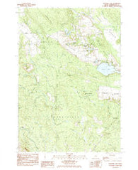 Schoodic Lake Maine Historical topographic map, 1:24000 scale, 7.5 X 7.5 Minute, Year 1984