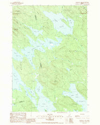 Scraggly Lake Maine Historical topographic map, 1:24000 scale, 7.5 X 7.5 Minute, Year 1988