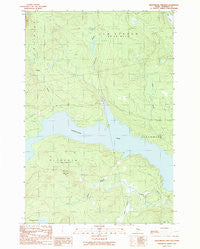 Seboomook Lake East Maine Historical topographic map, 1:24000 scale, 7.5 X 7.5 Minute, Year 1989