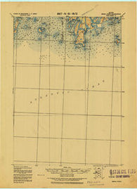 Small Point Maine Historical topographic map, 1:62500 scale, 15 X 15 Minute, Year 1919