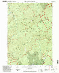Speckled Mountain Maine Historical topographic map, 1:24000 scale, 7.5 X 7.5 Minute, Year 1995