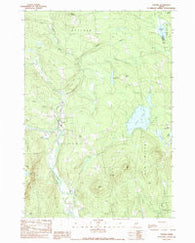 Strong Maine Historical topographic map, 1:24000 scale, 7.5 X 7.5 Minute, Year 1989