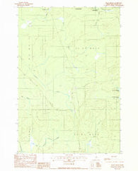 Telos Brook Maine Historical topographic map, 1:24000 scale, 7.5 X 7.5 Minute, Year 1988