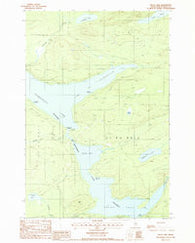 Telos Lake Maine Historical topographic map, 1:24000 scale, 7.5 X 7.5 Minute, Year 1988