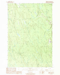 Tenmile Lake Maine Historical topographic map, 1:24000 scale, 7.5 X 7.5 Minute, Year 1989