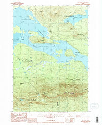 The Horns Maine Historical topographic map, 1:24000 scale, 7.5 X 7.5 Minute, Year 1989