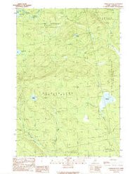 Tomhegan Pond Maine Historical topographic map, 1:24000 scale, 7.5 X 7.5 Minute, Year 1989