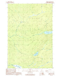 Turner Pond Maine Historical topographic map, 1:24000 scale, 7.5 X 7.5 Minute, Year 1989