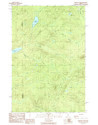 Wadleigh Pond Maine Historical topographic map, 1:24000 scale, 7.5 X 7.5 Minute, Year 1989