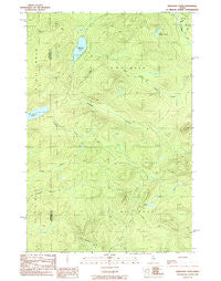 Wadleigh Pond Maine Historical topographic map, 1:24000 scale, 7.5 X 7.5 Minute, Year 1989
