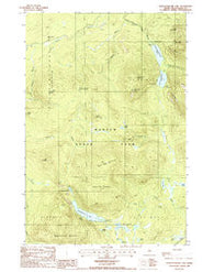 Wassataquoik Lake Maine Historical topographic map, 1:24000 scale, 7.5 X 7.5 Minute, Year 1988