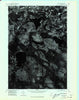 Winn SE Maine Historical topographic map, 1:24000 scale, 7.5 X 7.5 Minute, Year 1975