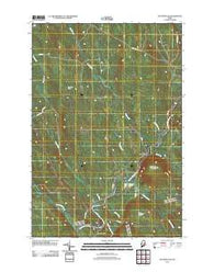 Wytopitlock Maine Historical topographic map, 1:24000 scale, 7.5 X 7.5 Minute, Year 2011