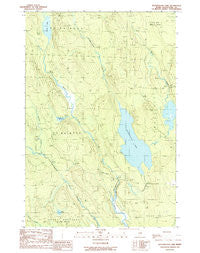 Wytopitlock Lake Maine Historical topographic map, 1:24000 scale, 7.5 X 7.5 Minute, Year 1989