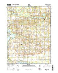 Adamsville Michigan Historical topographic map, 1:24000 scale, 7.5 X 7.5 Minute, Year 2014