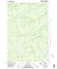 Aldridge Creek Michigan Historical topographic map, 1:24000 scale, 7.5 X 7.5 Minute, Year 1981