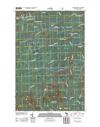 Aldridge Creek Michigan Historical topographic map, 1:24000 scale, 7.5 X 7.5 Minute, Year 2011