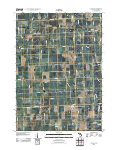 Applegate Michigan Historical topographic map, 1:24000 scale, 7.5 X 7.5 Minute, Year 2011