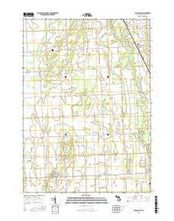 Applegate Michigan Current topographic map, 1:24000 scale, 7.5 X 7.5 Minute, Year 2016