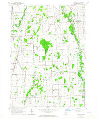 Applegate Michigan Historical topographic map, 1:24000 scale, 7.5 X 7.5 Minute, Year 1963