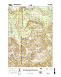 Arlene Michigan Current topographic map, 1:24000 scale, 7.5 X 7.5 Minute, Year 2016