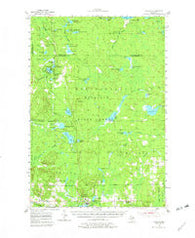 Atlanta Michigan Historical topographic map, 1:62500 scale, 15 X 15 Minute, Year 1955
