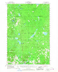 Atlanta Michigan Historical topographic map, 1:62500 scale, 15 X 15 Minute, Year 1955