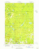 Atlanta Michigan Historical topographic map, 1:62500 scale, 15 X 15 Minute, Year 1955